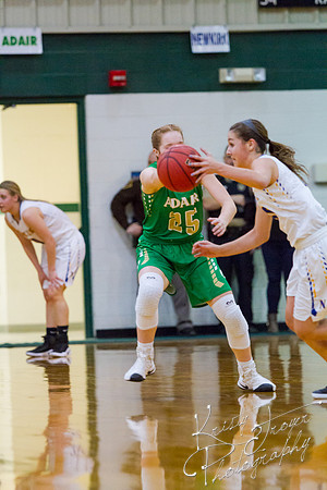 adair_vs_newkirk_basketball-9059