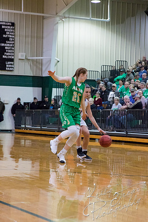 adair_vs_newkirk_basketball-8848