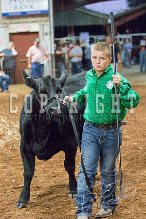 MAYES_COUNTY_FAIR_heifer-4118
