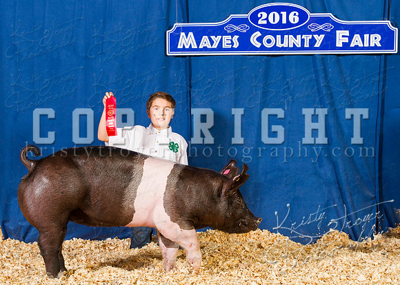Mayes_County_Fair_Backdrop-0419