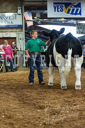 MAYES_COUNTY_FAIR_steer-4041