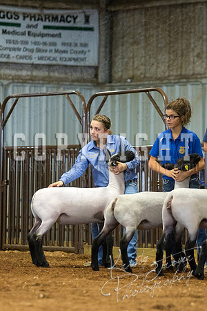 MAYES_COUNTY_FAIR_SHEEP-3089
