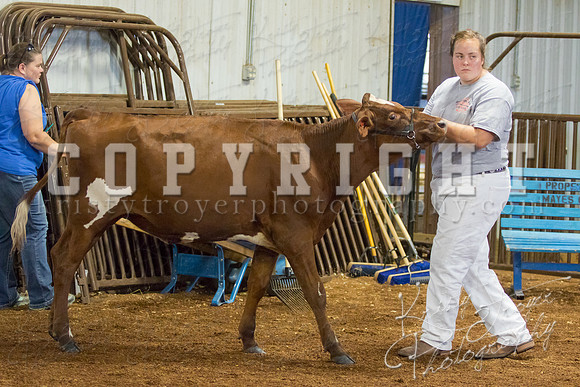 MAYES_COUNTY_FAIR_DAIRY-3397