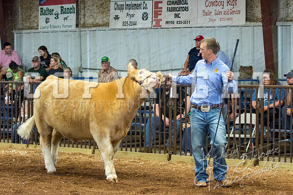 MAYES_COUNTY_FAIR_steer-3981