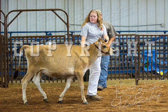 MAYES_COUNTY_FAIR_DAIRY-3366