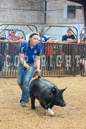 MAYES_COUNTY_FAIR_SWINE_©KTROYER-9700