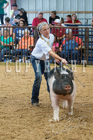 MAYES_COUNTY_FAIR_SWINE_©KTROYER-9701
