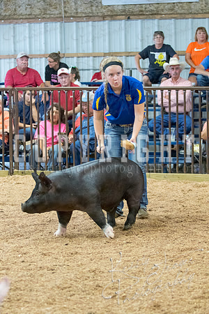 MAYES_COUNTY_FAIR_SWINE_©KTROYER-9702