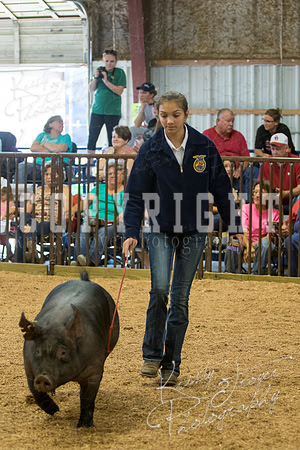 MAYES_COUNTY_FAIR_SWINE_©KTROYER-9703