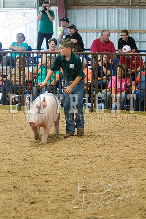 MAYES_COUNTY_FAIR_SWINE_©KTROYER-9705