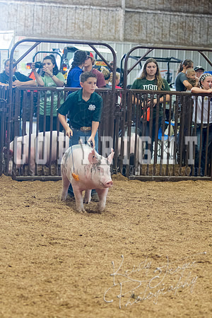 MAYES_COUNTY_FAIR_SWINE_©KTROYER-9708