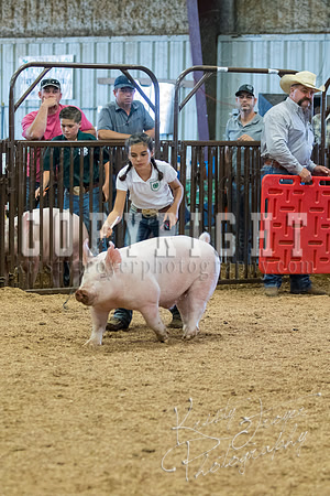 MAYES_COUNTY_FAIR_SWINE_©KTROYER-9711