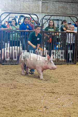 MAYES_COUNTY_FAIR_SWINE_©KTROYER-9709