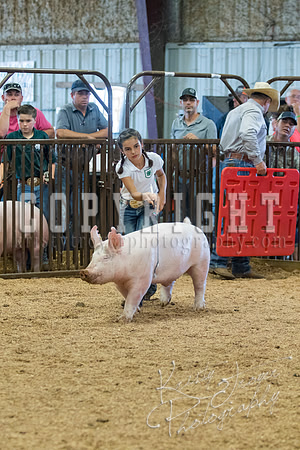 MAYES_COUNTY_FAIR_SWINE_©KTROYER-9710