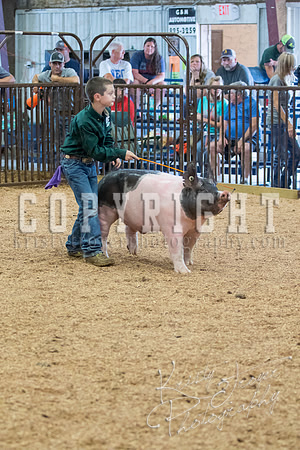 MAYES_COUNTY_FAIR_SWINE_©KTROYER-9712