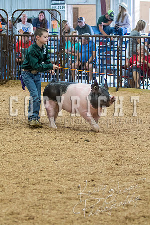 MAYES_COUNTY_FAIR_SWINE_©KTROYER-9713