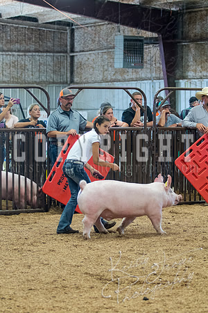 MAYES_COUNTY_FAIR_SWINE_©KTROYER-9714