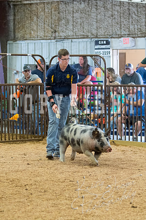 MAYES_COUNTY_FAIR_SWINE_©KTROYER-9715