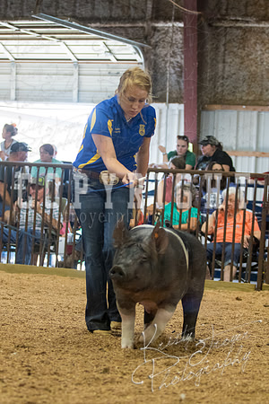 MAYES_COUNTY_FAIR_SWINE_©KTROYER-9716