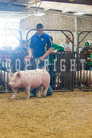MAYES_COUNTY_FAIR_SWINE_©KTROYER-9660