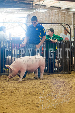 MAYES_COUNTY_FAIR_SWINE_©KTROYER-9661