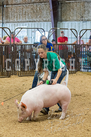 MAYES_COUNTY_FAIR_SWINE_©KTROYER-9662