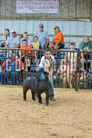MAYES_COUNTY_FAIR_SWINE_©KTROYER-9664