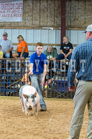 MAYES_COUNTY_FAIR_SWINE_©KTROYER-9666