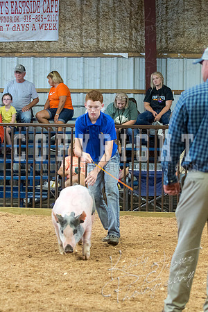MAYES_COUNTY_FAIR_SWINE_©KTROYER-9667