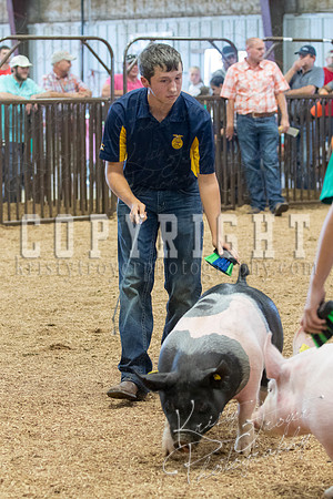MAYES_COUNTY_FAIR_SWINE_©KTROYER-9670