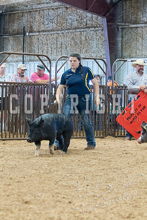MAYES_COUNTY_FAIR_SWINE_©KTROYER-9675