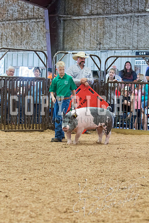MAYES_COUNTY_FAIR_SWINE_©KTROYER-9676