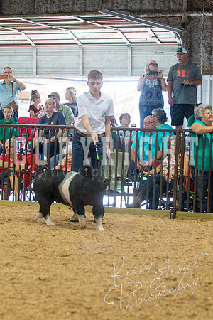 MAYES_COUNTY_FAIR_SWINE_©KTROYER-9674