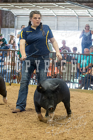 MAYES_COUNTY_FAIR_SWINE_©KTROYER-9677
