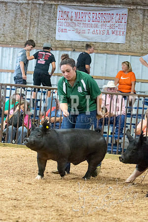 MAYES_COUNTY_FAIR_SWINE_©KTROYER-9678