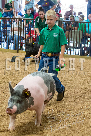 MAYES_COUNTY_FAIR_SWINE_©KTROYER-9680