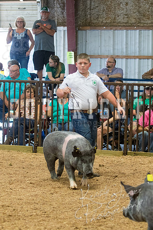 MAYES_COUNTY_FAIR_SWINE_©KTROYER-9684