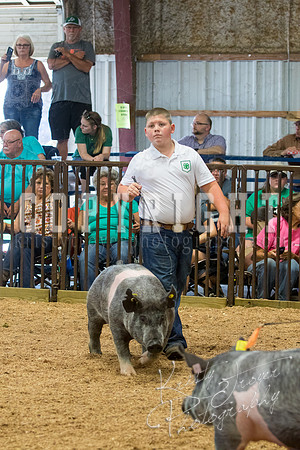 MAYES_COUNTY_FAIR_SWINE_©KTROYER-9685