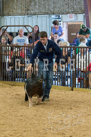 MAYES_COUNTY_FAIR_SWINE_©KTROYER-9686