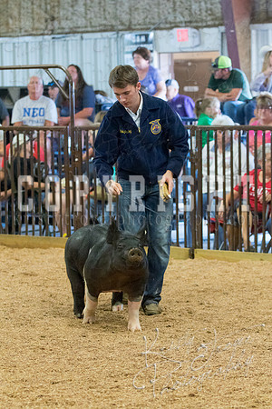 MAYES_COUNTY_FAIR_SWINE_©KTROYER-9687