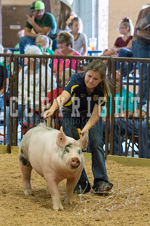MAYES_COUNTY_FAIR_SWINE_©KTROYER-9689