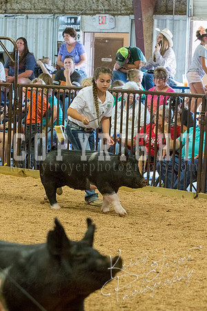 MAYES_COUNTY_FAIR_SWINE_©KTROYER-9690
