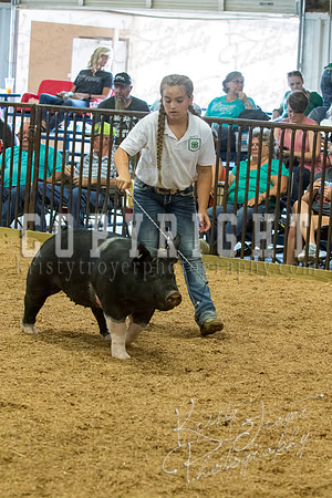 MAYES_COUNTY_FAIR_SWINE_©KTROYER-9692