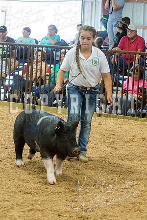 MAYES_COUNTY_FAIR_SWINE_©KTROYER-9694