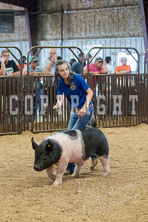 MAYES_COUNTY_FAIR_SWINE_©KTROYER-9695