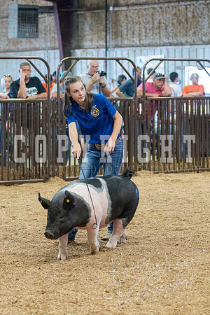 MAYES_COUNTY_FAIR_SWINE_©KTROYER-9696