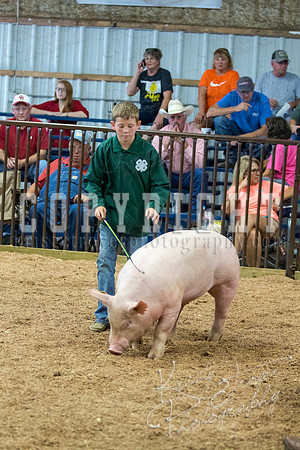 MAYES_COUNTY_FAIR_SWINE_©KTROYER-9697