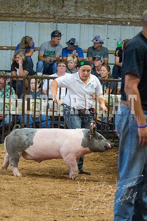 MAYES_COUNTY_FAIR_SWINE_©KTROYER-9699
