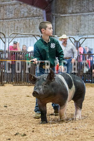 MAYES_COUNTY_FAIR_SWINE_©KTROYER-9718