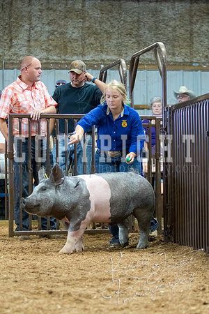 MAYES_COUNTY_FAIR_SWINE_©KTROYER-9719